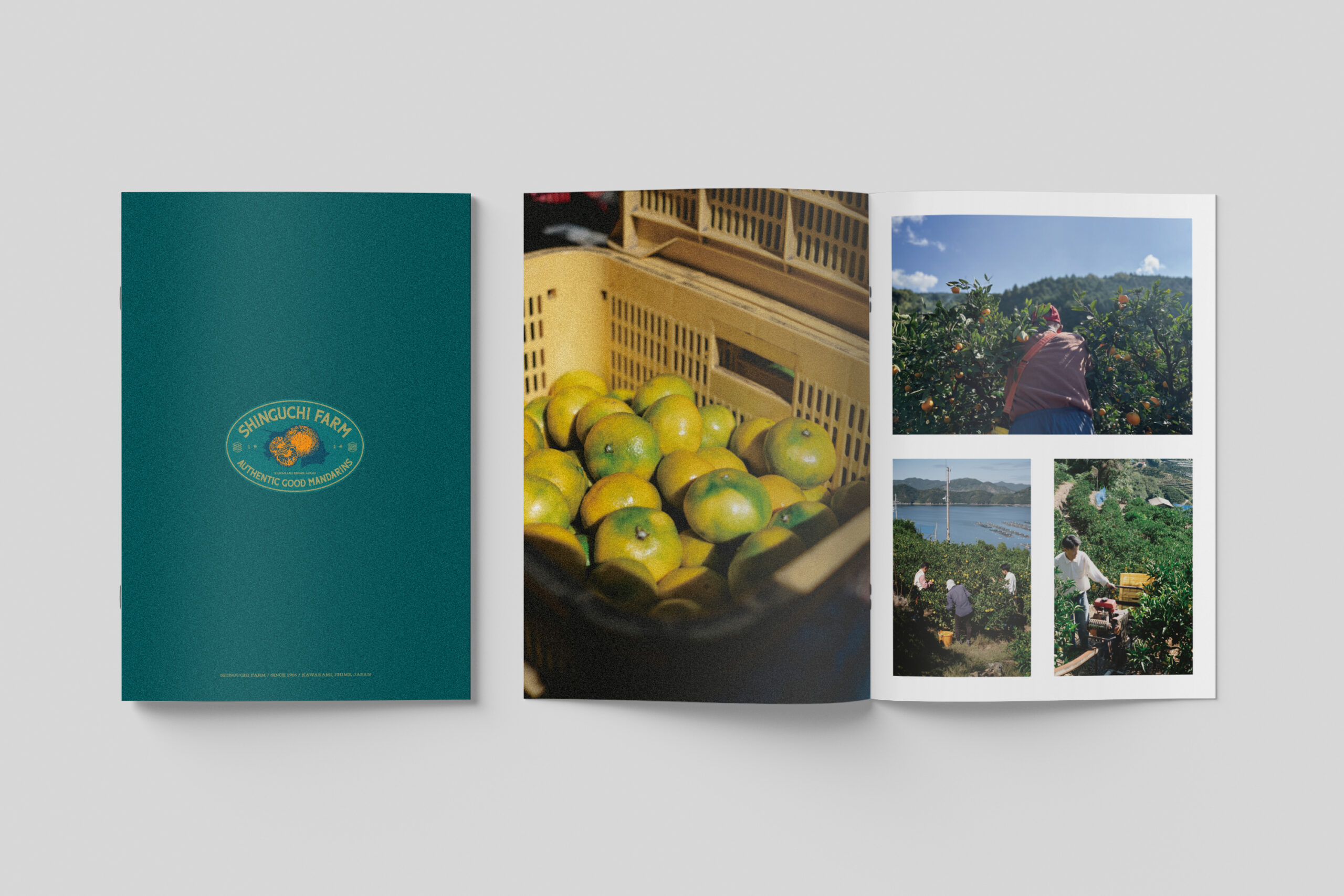 PROJECT : SHINGUCHI FARM : BRAND BOOK